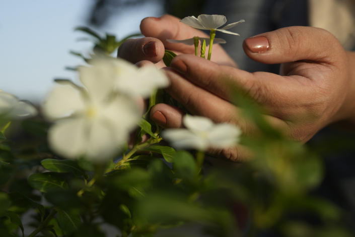 A 34-year-old Egyptian woman, who asked to be identified as N.S., holds a flower as she visits a garden in Cairo, Egypt, Sept. 29, 2022. N.S. has been on a journey to heal from physical and psychological scars after female genital cutting when she was a child. “I had a feeling of being incomplete and that I will never feel happy because of this,” she said. “It’s a horrible feeling.” (AP Photo/Amr Nabil)