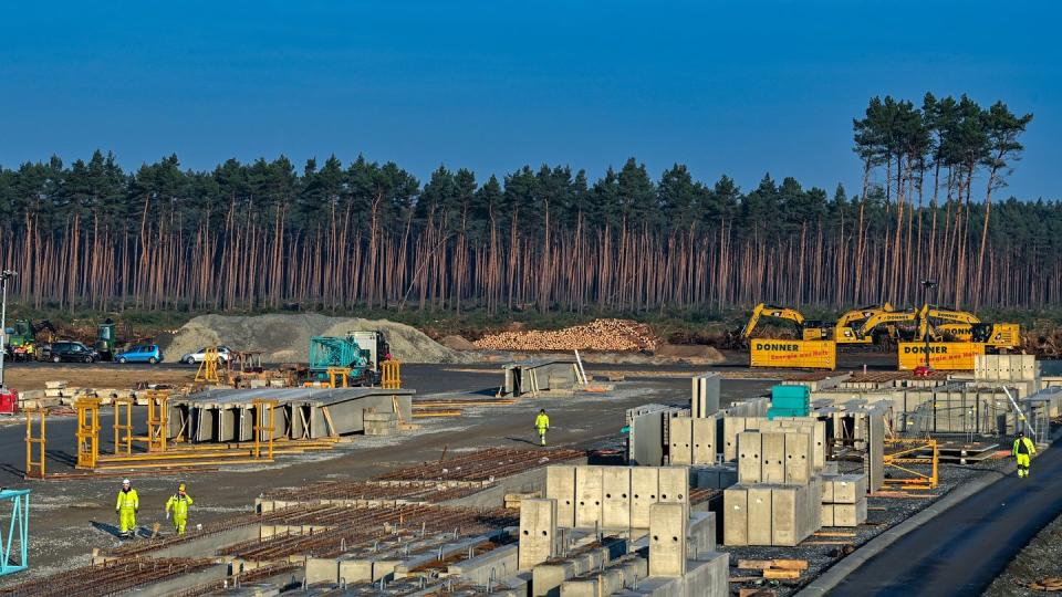 Die Rodung geht weiter: Tesla baut eine Gigafactory in Grünheide in Brandenburg.