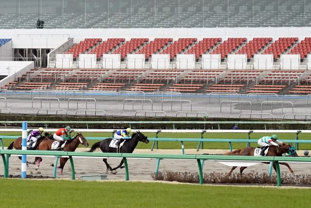 Horse racing in front of empty stands in Funabashi, near Tokyo