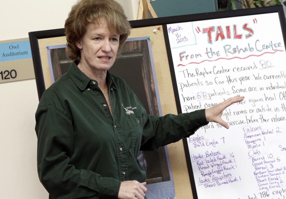 Dr. Julia Ponder talks about the patient list of injured raptors, Wednesday, March 13, 2013, at the Raptor Center on the St. Paul campus of the University of Minnesota. The center listed about 30 owls as patients this week. It has been a tough winter for owls in some parts of North America. Some have headed south in search of food instead of staying in their northern territories. (AP Photo/Jim Mone)