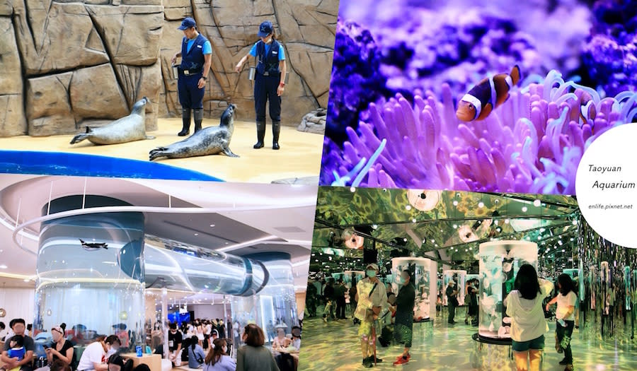 桃園水族館 Xpark 八景島水族館