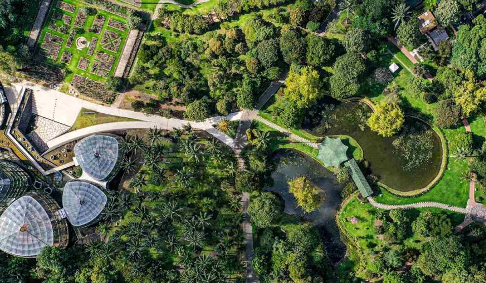 Jardín Botánico de Bogotá. Imagen: Alcaldía de Bogotá.