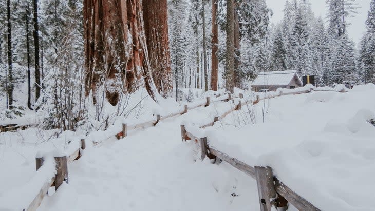<span class="article__caption">Snow in Kings Canyon </span>(Photo: El Ojo Torpe/Getty)