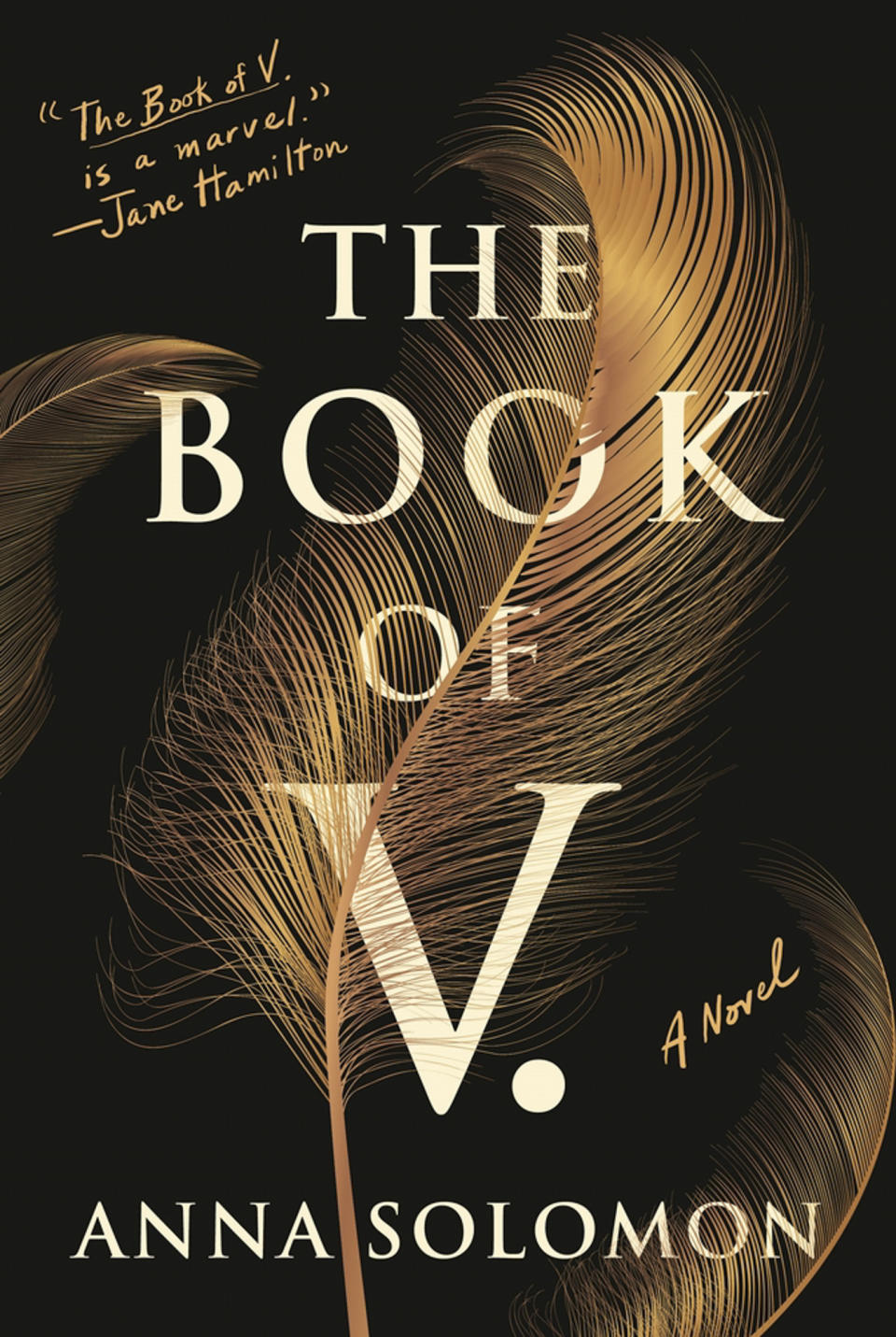 The Book of V, by Anna Solomon