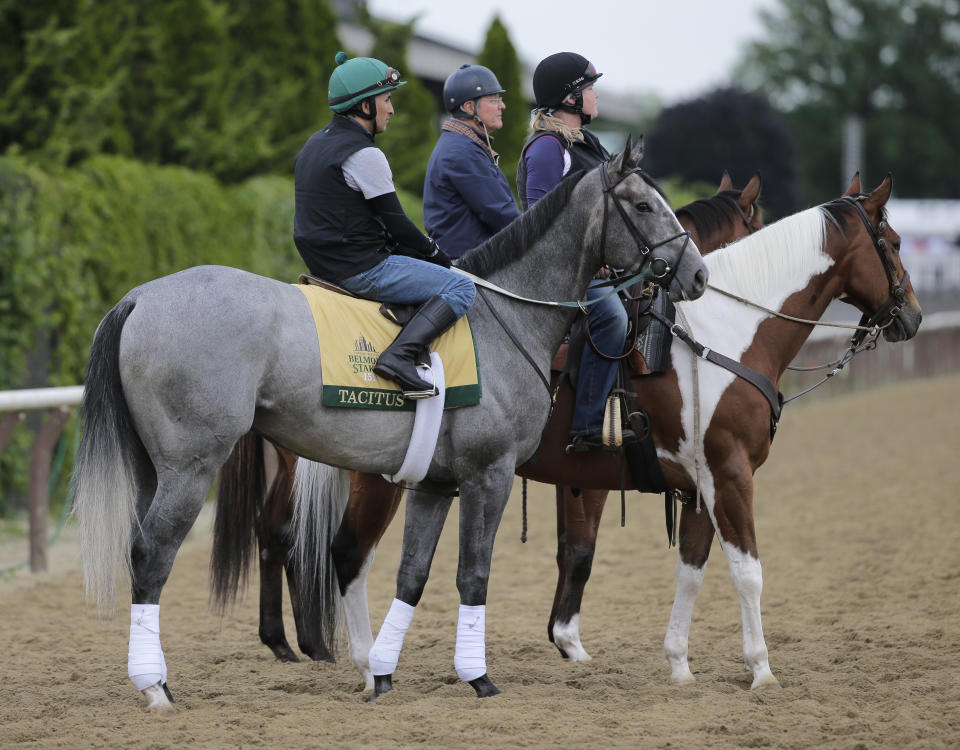 Exercise rider Joe Ramos, left, rides Tacitus during workouts at Belmont Park in Elmont, N.Y., Wednesday, June 5, 2019. The 151st Belmont Stakes horse race is scheduled for Saturday, June 8. (AP Photo/Seth Wenig)