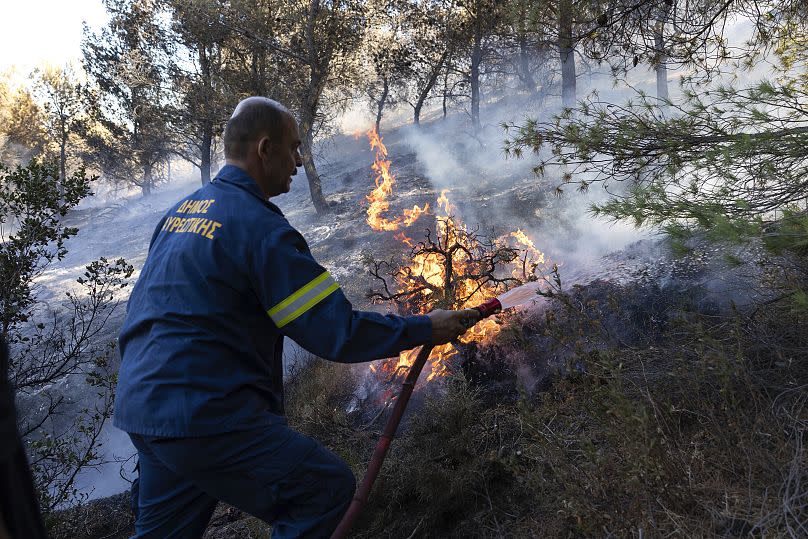A firefighter tries to extinguish a forest fire at Keratea area, southeast of Athens, Greece, Sunday, 30 June, 2024.
