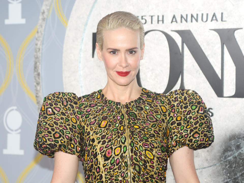 Sarah Paulson at an event wearing a patterned dress with puffed sleeves