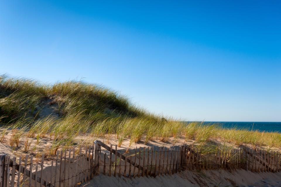 Coast Guard Beach, Massachusetts