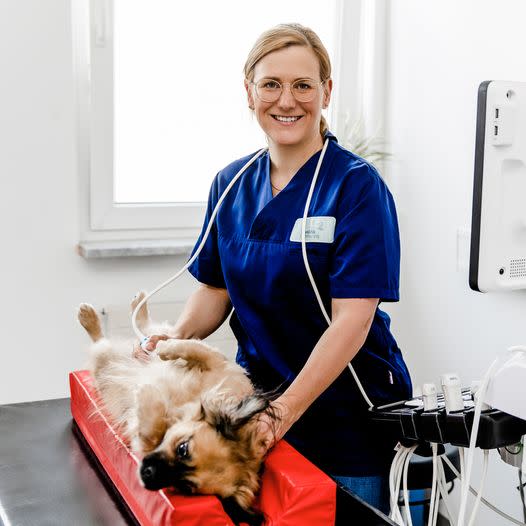 Svenja Teichmann-Knorrn (Bild: Tierklinik Oberhaching)