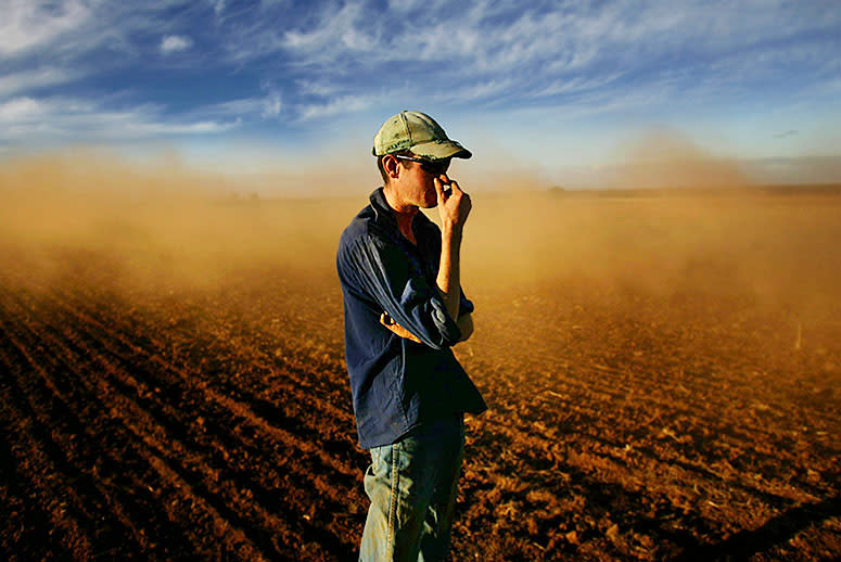 It May Not Smell Great, but Dust From Dairy Farms Could Have