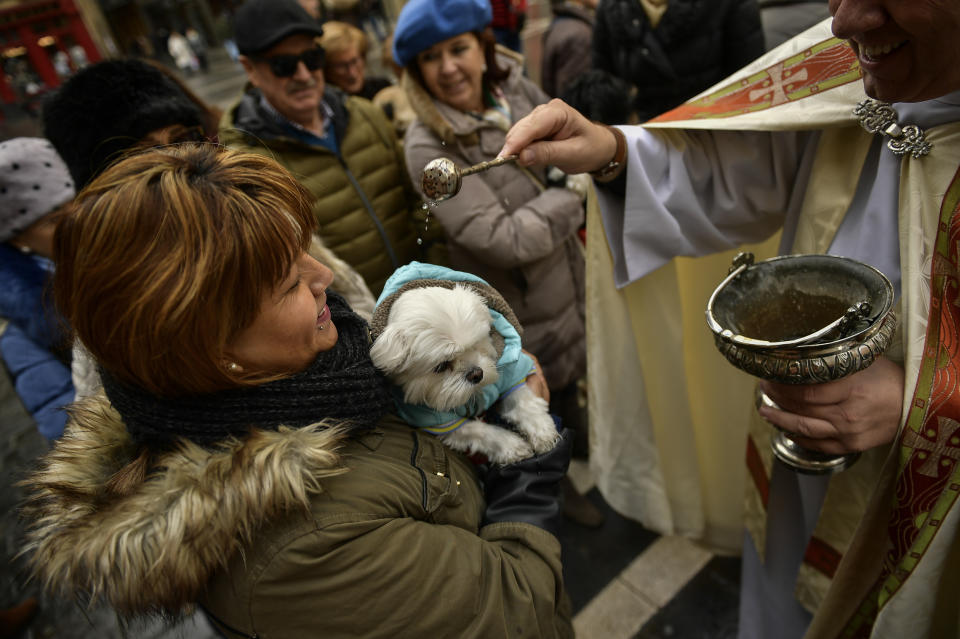 A priest blesses people and their pets outside of the San Nicolas Church in Pamplona, Jan. 17, 2019. (Photo: Alvaro Barrientos/AP)