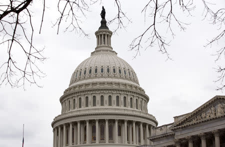 FILE PHOTO: The U.S. Capitol building is pictured in Washington December 21, 2012. REUTERS/Joshua Roberts