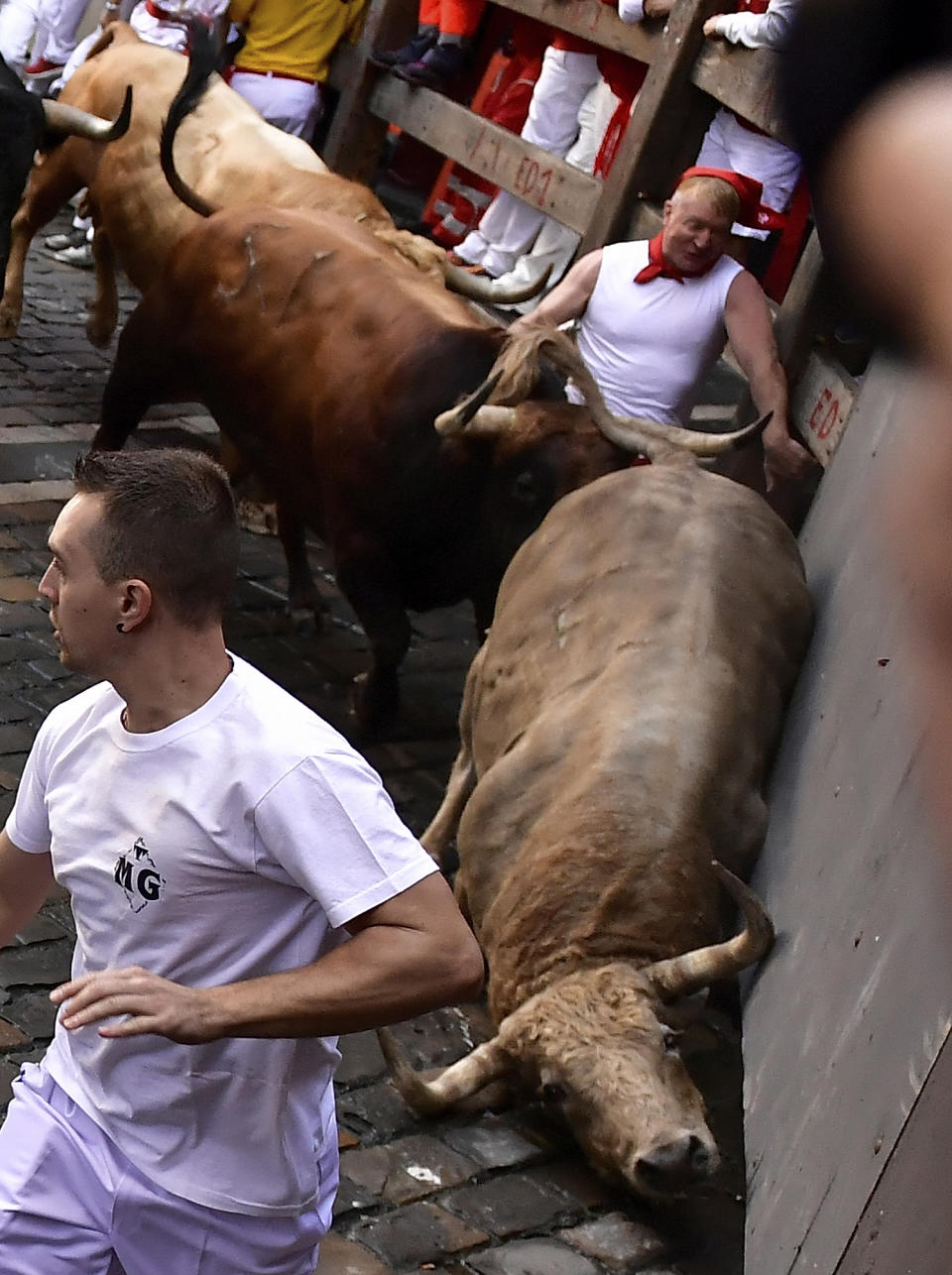 People run through the streets with fighting bulls and steers during the first day of the running of the bulls at the San Fermin Festival in Pamplona, northern Spain, Thursday, July 7, 2022. Revelers from around the world flock to Pamplona every year for nine days of uninterrupted partying in Pamplona's famed running of the bulls festival which was suspended for the past two years because of the coronavirus pandemic. (AP Photo/Alvaro Barrientos)