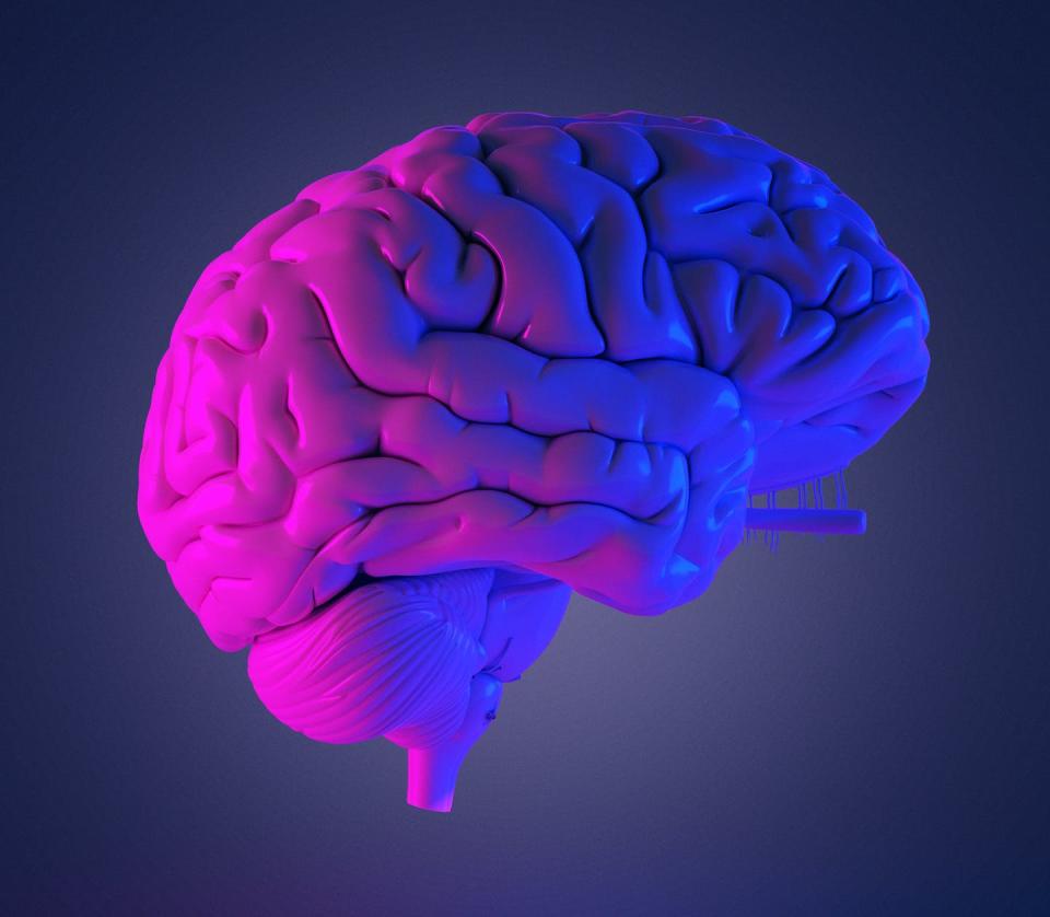 <span class="caption">Desde el siglo XIX, investigadores que buscan entender las diferencias de género y raza se han enfocado en el cerebro humano.</span> <span class="attribution"><a class="link " href="https://www.gettyimages.com/detail/photo/human-brain-illustration-royalty-free-image/1190796464" rel="nofollow noopener" target="_blank" data-ylk="slk:SebastianKaulitzki/Science Photo Library via Getty Images;elm:context_link;itc:0;sec:content-canvas">SebastianKaulitzki/Science Photo Library via Getty Images</a></span>