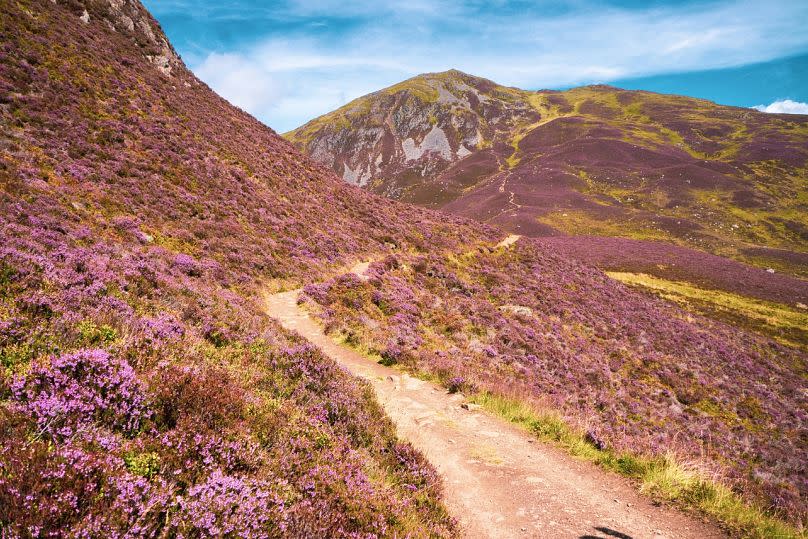 You may be able to catch a glimpse of the light phenomenon at Cairngorms National Park in Scotland