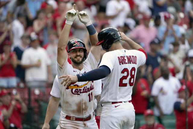 St. Louis Cardinals on X: The 2023 @ScottsLawn MLB All-Star Ballot is now  open! Vote up to 5x per day at  and let's send our  Nolans to the All-Star Game! #STLCards