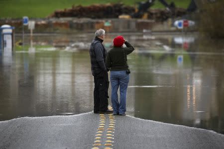 Andrew Culver (L) and Peggy Wendel (R) observe the flooded waters of the Stillaguamish River, which overtook a roadway in Stanwood, Washington November 18, 2015. REUTERS/David Ryder