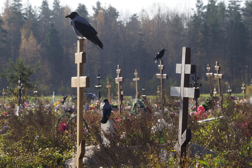 Crows sit on grave crosses in the section of a cemetery reserved for coronavirus victims in Kolpino, outside St. Petersburg, Russia, Tuesday, Oct. 12, 2021. Russia hit another record of daily coronavirus deaths Tuesday as the country struggled with a rapid surge of infections and lagging vaccination rates, but authorities have been adamant that there would be no new national lockdown. (AP Photo/Dmitri Lovetsky)