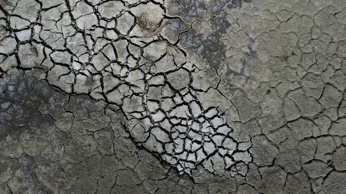 Dried cracked mud is visible at the Antelope Island Marina due to low water levels on the Great Salt Lake, near Syracuse, Utah (Copyright 2022 The Associated Press. All rights reserved)