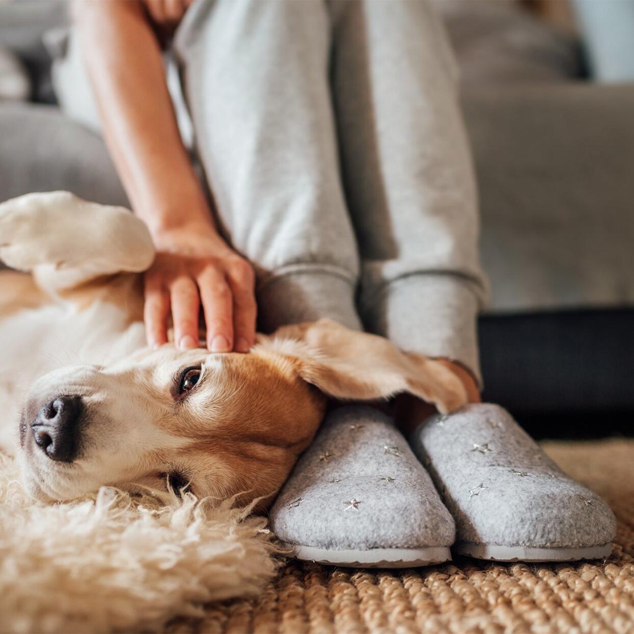 best house slippers and shoes tout