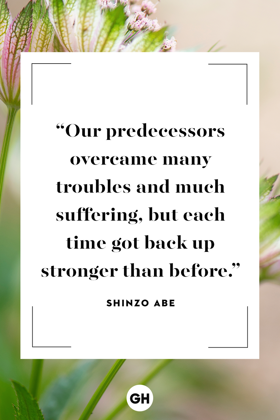 <p>Our predecessors overcame many troubles and much suffering, but each time got back up stronger than before.</p>