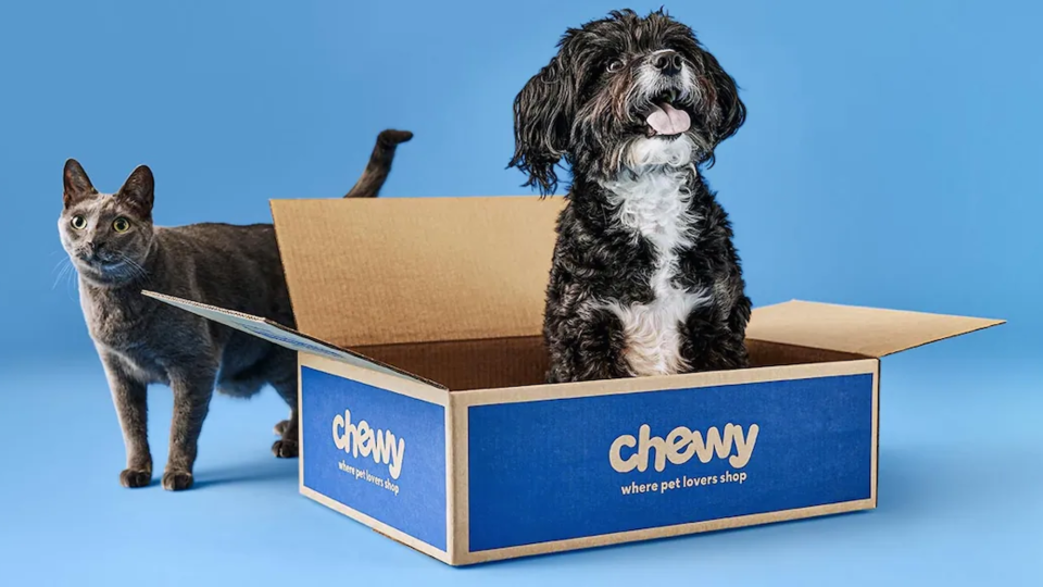 Pick up toys, treats and more for all your furry friends at Chewy.