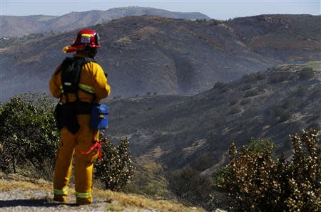 A fire-fighter looks out over a burned area of the Bernardo fire as they look for spot fires due to high winds in the area north of San Diego, California May 14, 2014. REUTERS/Mike Blake