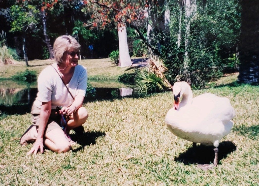 Under Dorothy Allyn-Lavick's watch, Sarasota Jungle Gardens introduced birds, reptiles, and other native and exotic animals to the park, a decision that proved to be immensely popular with visitors to the family-owned landmark.