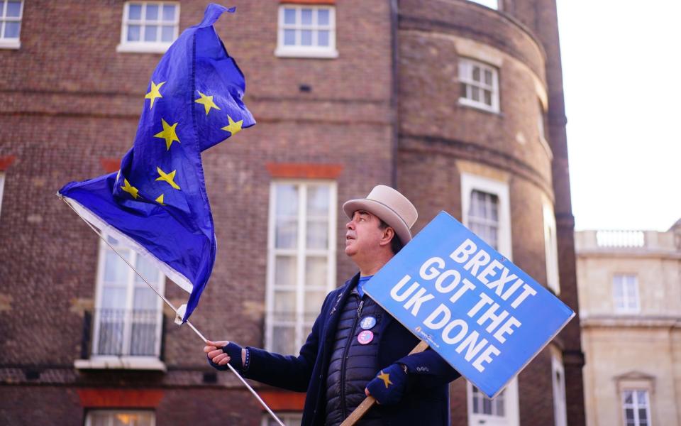 Anti-Brexit protester Steve Bray - PA