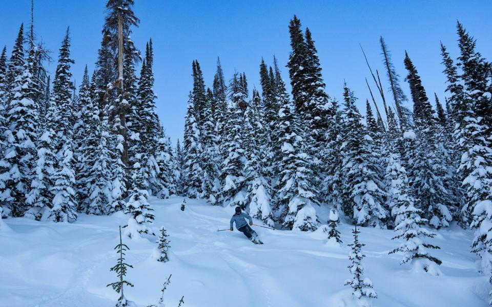 Skiing the trees at Sun Valley - Hayden Gilmour