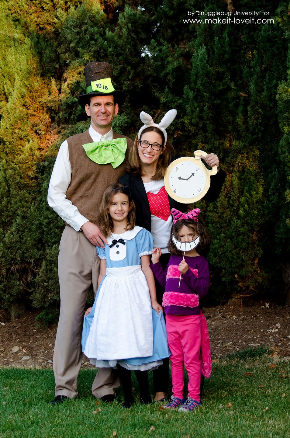 family halloween costumes alice in wonderland