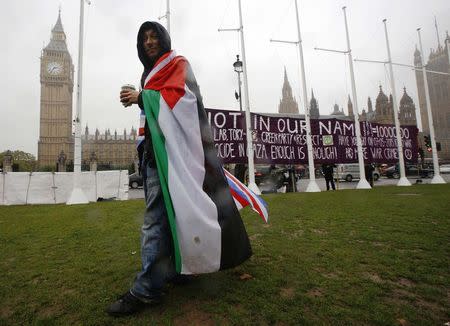 A pro-Palestine supporter wears a Palestinian and Union flag outside the Houses of Parliament in London October 13, 2014. REUTERS/Luke MacGregor