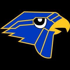 Hillsdale Falcons logo