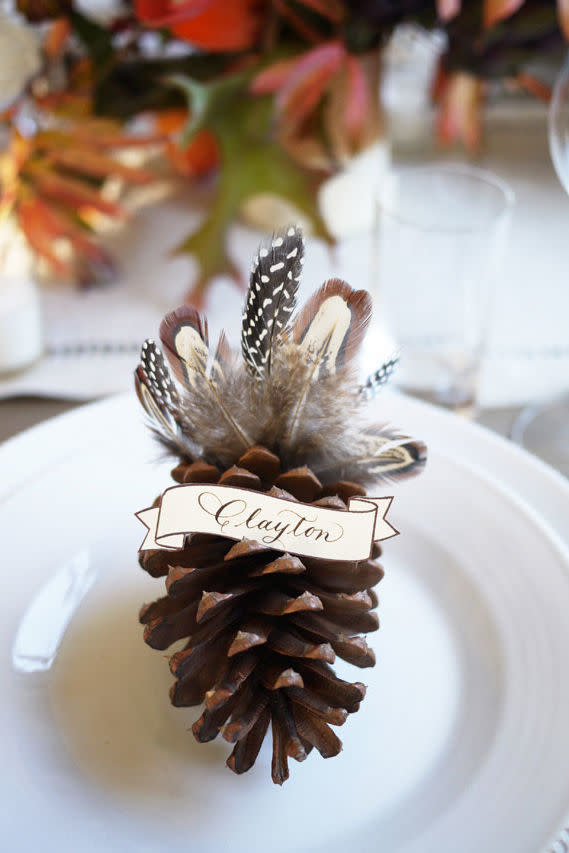 Feather Turkey Pinecones