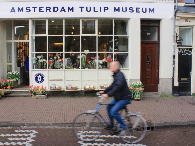 Im Museum an der Prinsengracht in Amsterdam erfahren Touristen alles über Tulpen. Foto: Bernd F. Meier