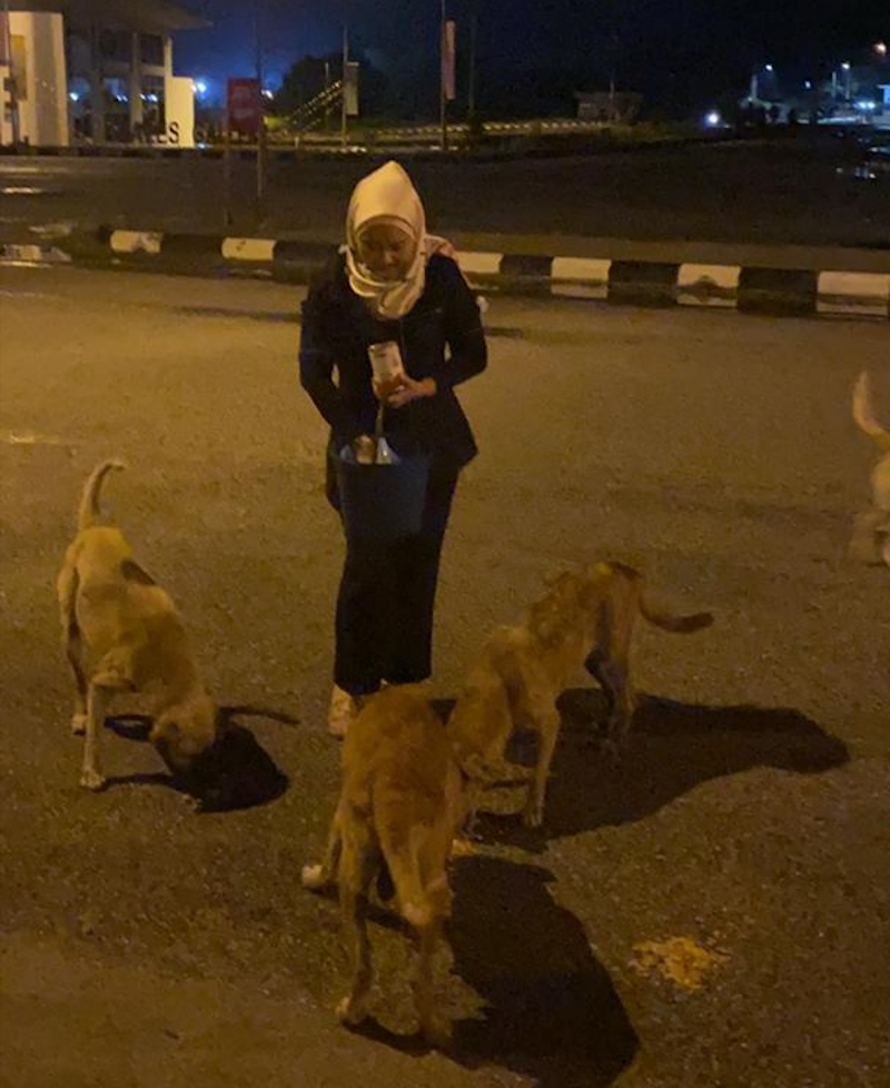 Besides feeding strays at Pasir Pinji market, beauty consultant Nazirah Abd Rahman also feeds abandoned dogs at Bukit Merah in Menglembu. — Photo courtesy of Nazirah Abd Rahman