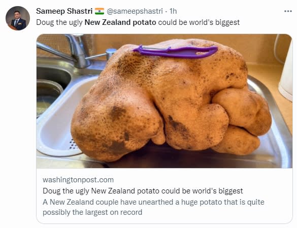 唐娜形容馬鈴薯外觀醜陋。（圖／翻攝自@sameepshastri推特）