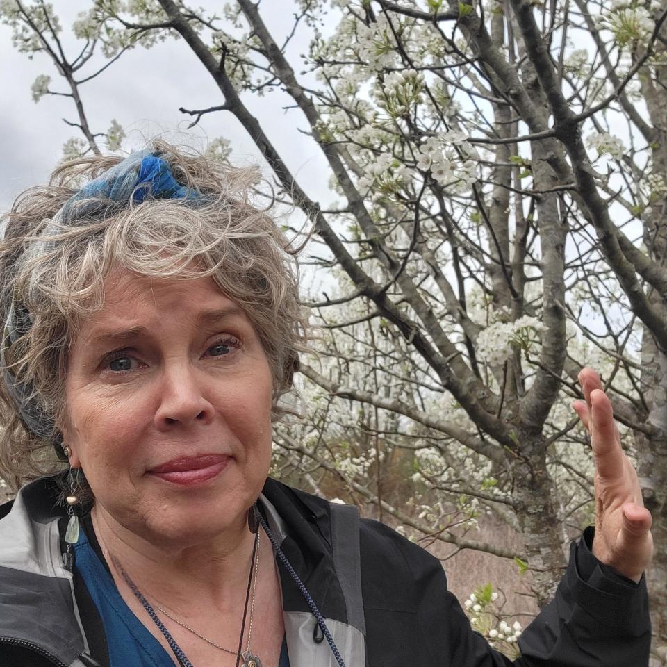 Michelle Campanis, education coordinator at the University of Tennessee Arboretum, believes the sale of Bradford pear trees should be banned in Tennessee, like they have been in other states.