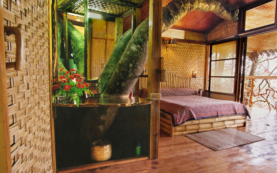 Tranquil Resort, Wayanad, Kerala, India