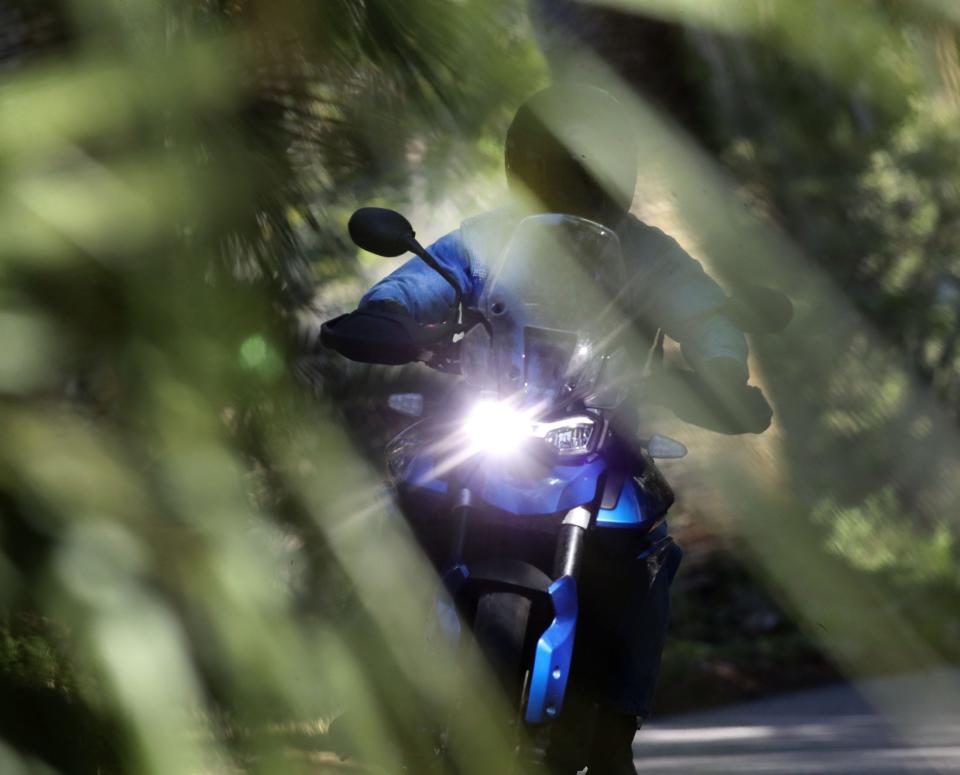 A rider rolls past the palms that line the twisting High Bridge Road along the scenic Ormond Loop on Thursday as Bike Week rolls toward its closing weekend in Daytona Beach.