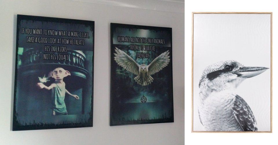 Alena also used Kmart's koala and kookaburra prints to add to the Harry Potter theme. Photo: Supplied