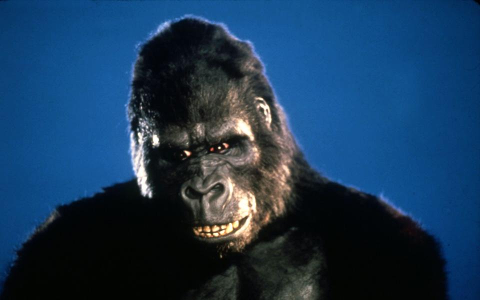 The star of King Kong '76 - Alamy