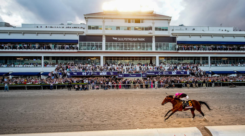 /Karina S.N. Serio/
ZHORSERACING, horse, horse racing, thoroughbred, gulfstream, gulfstream park, pegasus, pegasus world cup
January 28, 2023: Art Collector #6, ridden by jockey Junior Alvarado, wins the Pegasus World Cup Invitational during Pegasus World Cup Day at Gulfstream Park in Hallandale Beach, Florida. Karina S.N. Serio/Eclipse Sportswire/CSM
/Karina S.N. Serio/
ZHORSERACING, horse, horse racing, thoroughbred, gulfstream, gulfstream park, pegasus, pegasus world cup
January 28, 2023: Art Collector #6, ridden by jockey Junior Alvarado, wins the Pegasus World Cup Invitational during Pegasus World Cup Day at Gulfstream Park in Hallandale Beach, Florida. Karina S.N. Serio/Eclipse Sportswire/CSM