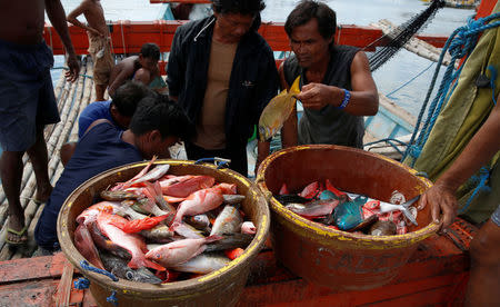 Fishermen, who has just returned from fishing in disputed Scarborough Shoal, sort fish from a boat in Subic, Zambales in the Philippines, November 1, 2016. REUTERS/Erik De Castro