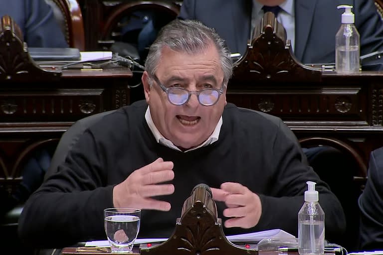 Mario Negri durante la sesión especial de la Cámara de Diputados