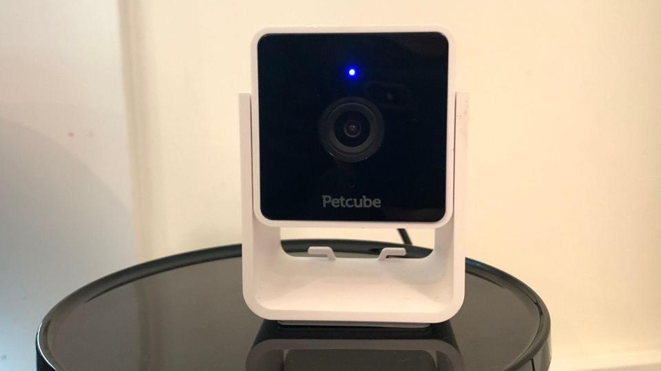 The Petcube Cam is the best smart pet camera you can buy.