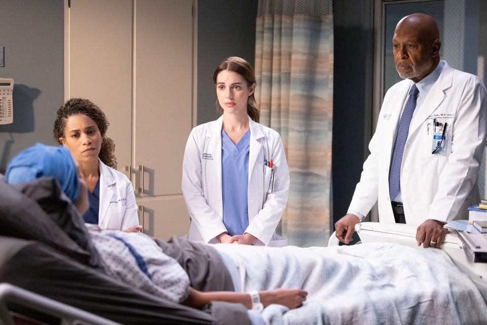 Grey's Anatomy KELLY MCCREARY, ADELAIDE KANE, JAMES PICKENS JR.