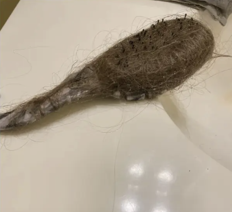 A brush completely covered in hair