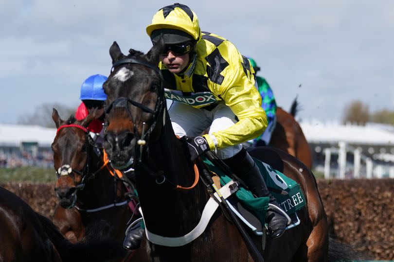 Shishkin ridden by Nico de Boinville before going on to win the Alder Hey Aintree Bowl Chase