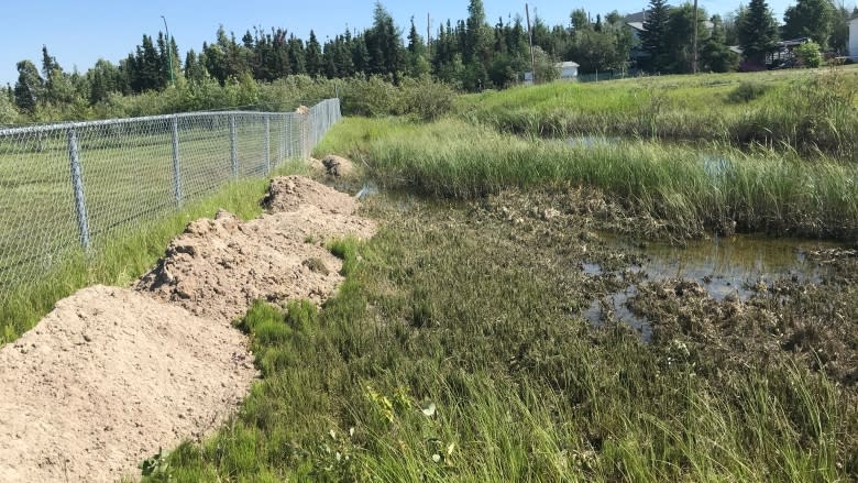 Bothersome beavers banned from Yellowknife baseball field